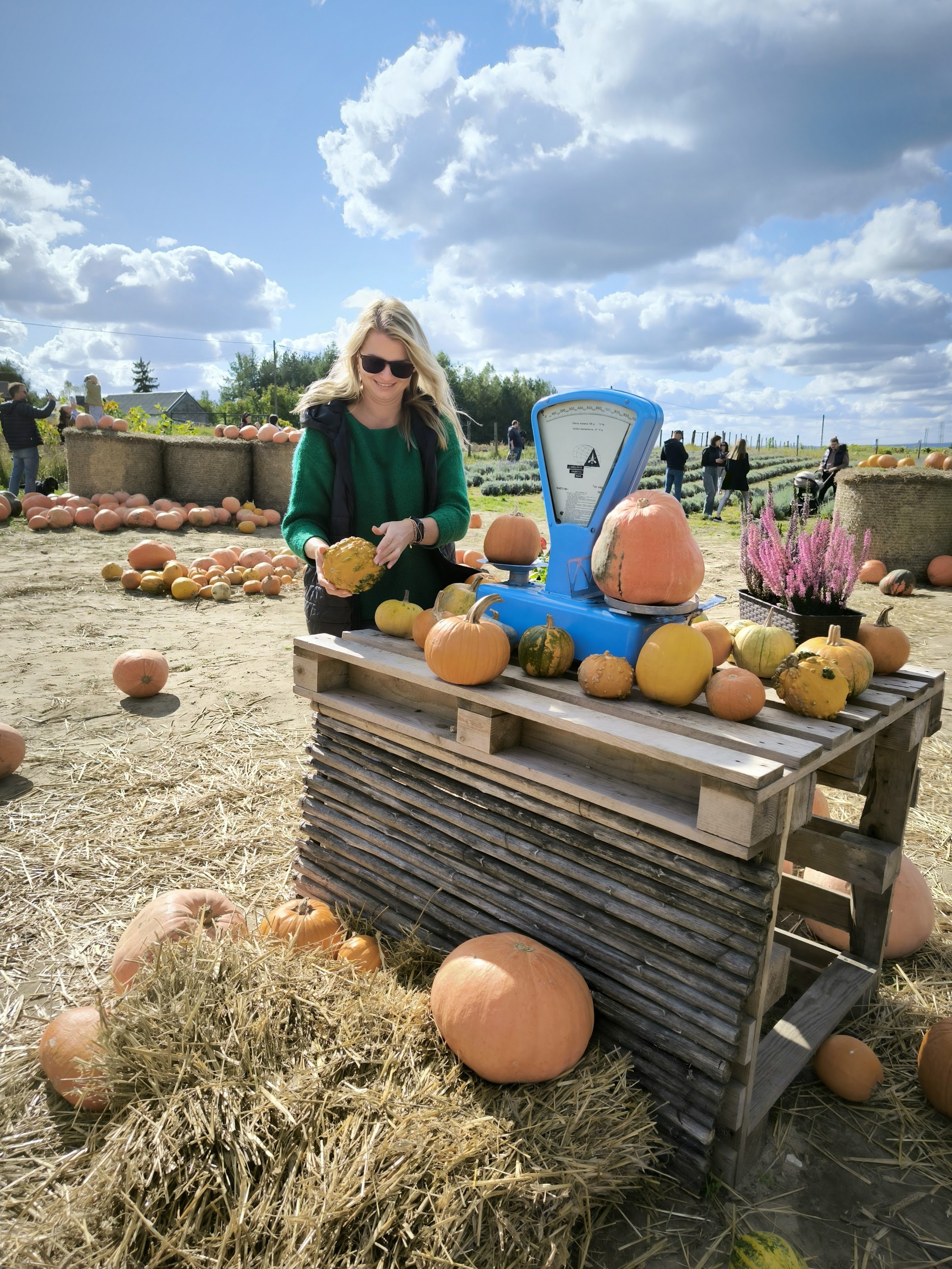 Dyniowe Pole Przybynów